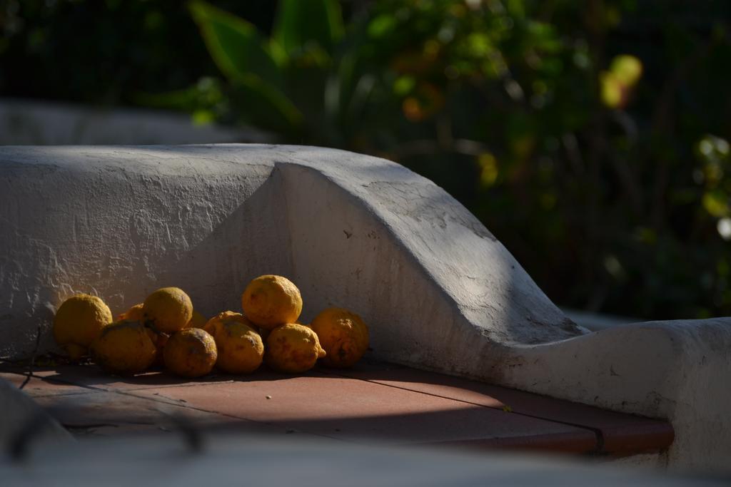 Schicciolina Villa Stromboli Eksteriør billede